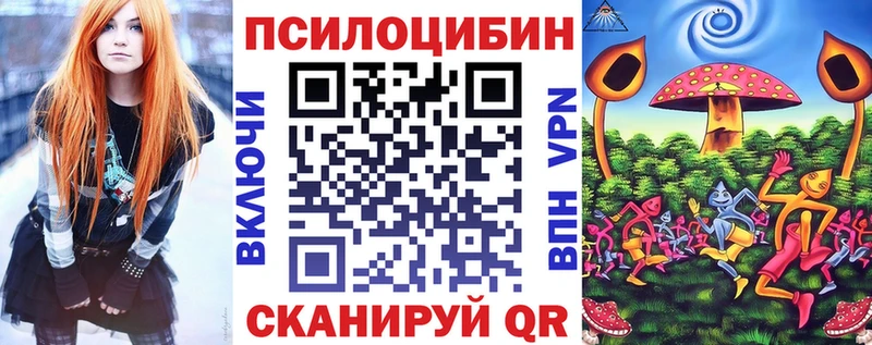 Псилоцибиновые грибы Psilocybe  Ессентуки 