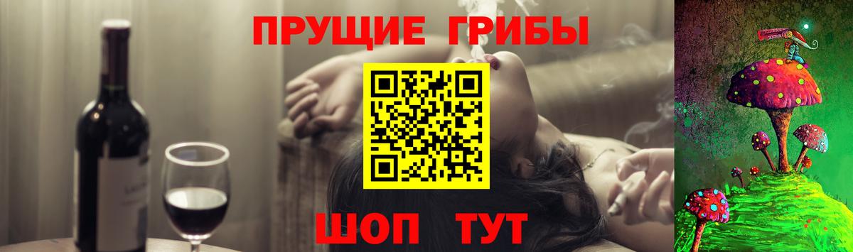Псилоцибиновые грибы Psilocybe  наркошоп  Ессентуки  Вход с VPN 