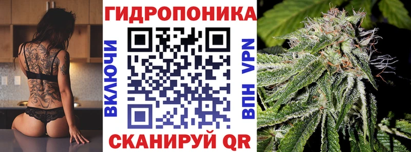 omg tor  Ессентуки  Конопля план 